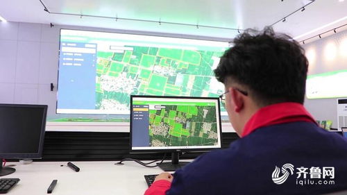 智慧大腦賦能田間地頭，聊城全面推廣科技種田新圖景